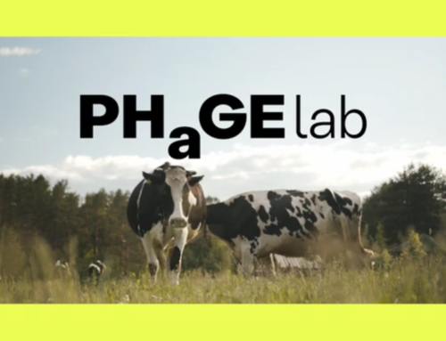 Phage Lab